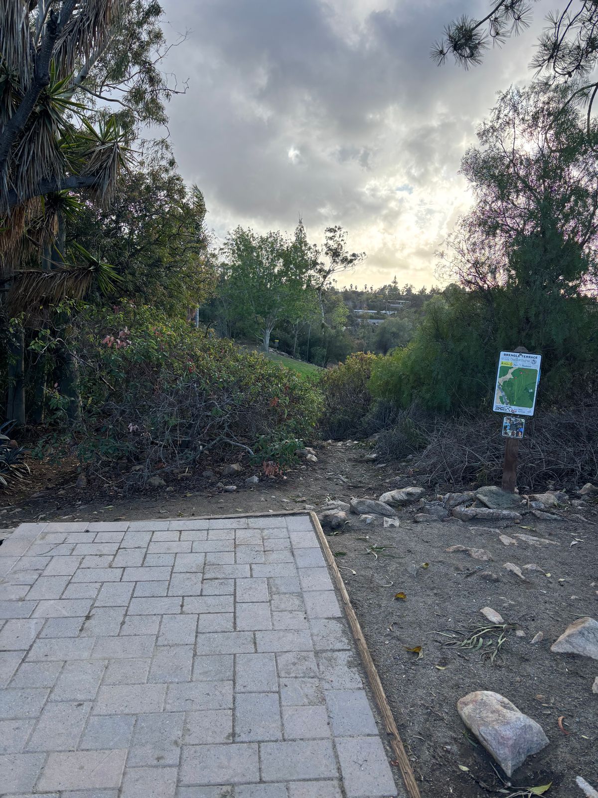 Hole 6 @ Brengle