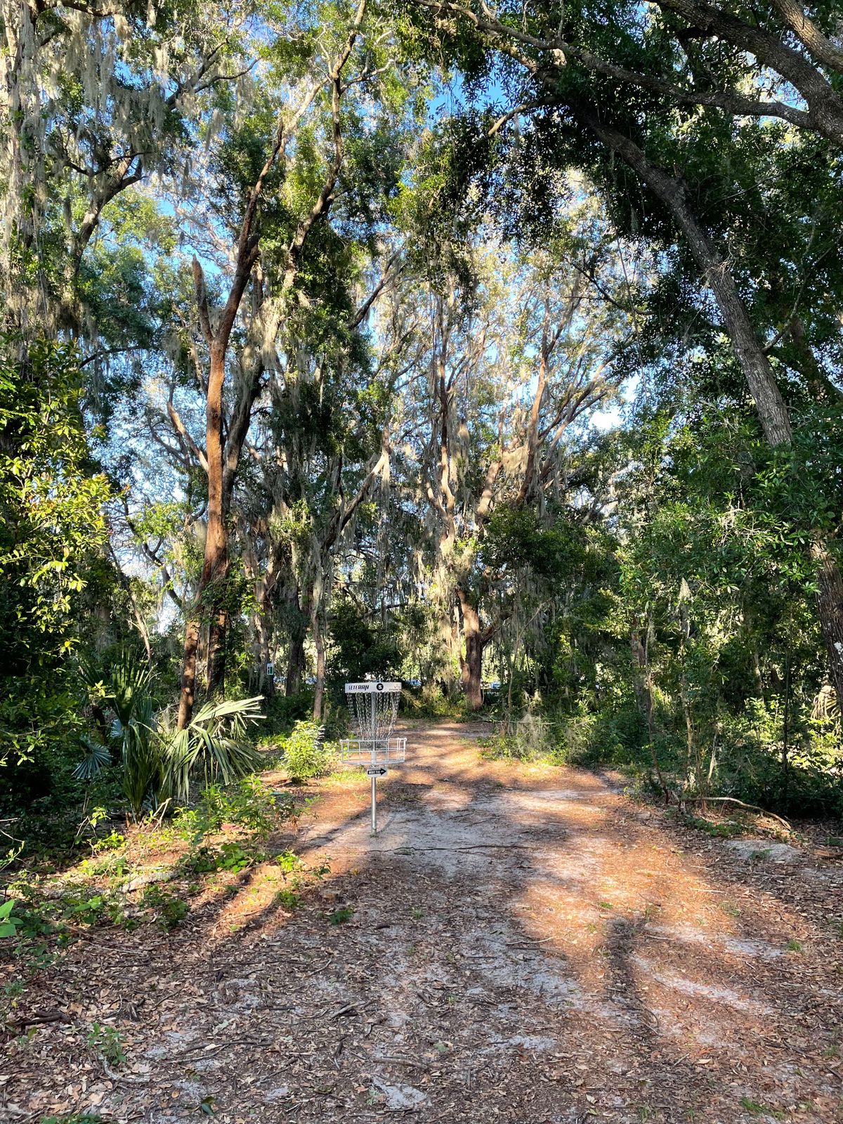 Hole 5