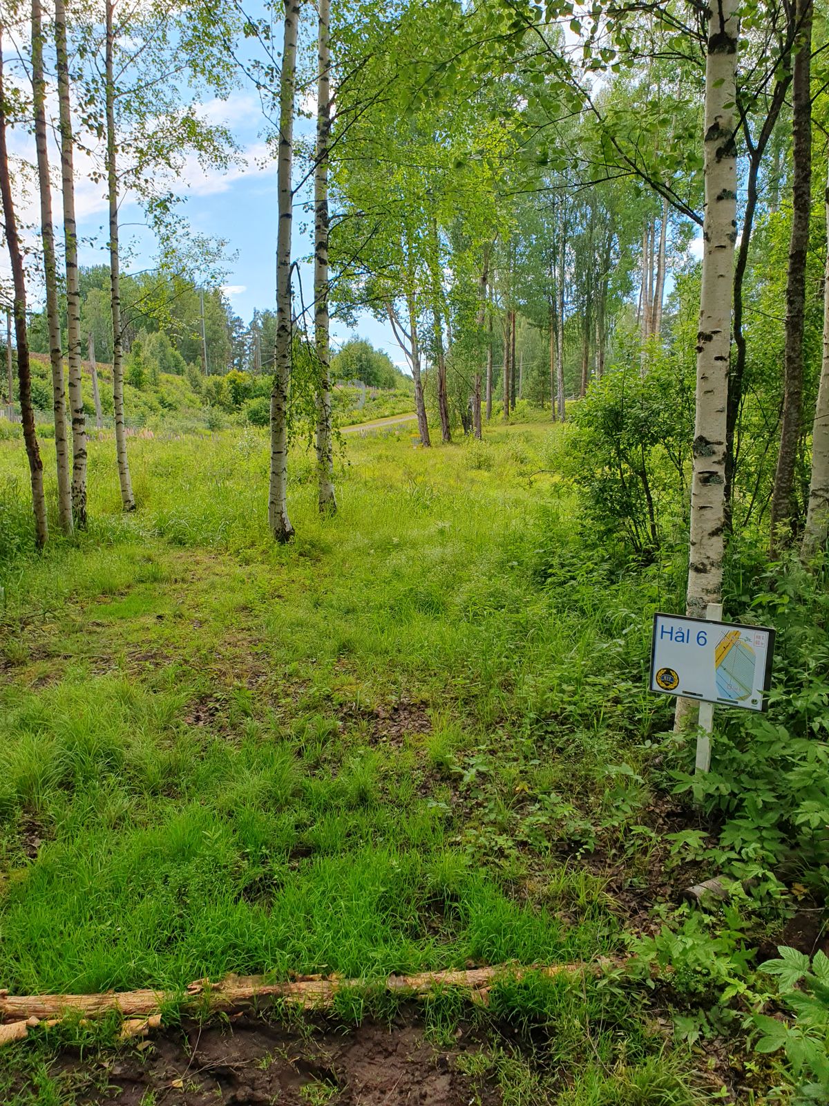 Hål 6