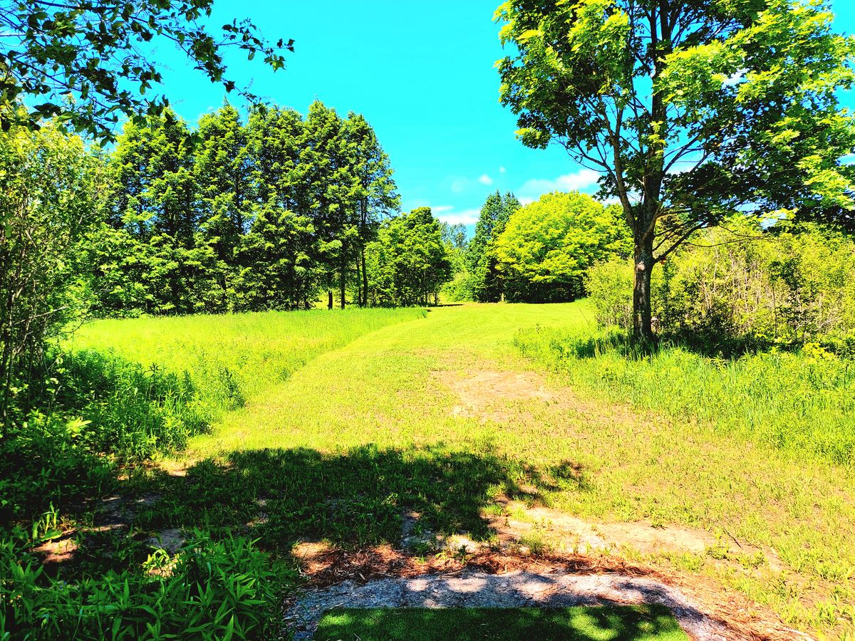 Hole six from blue 🌳🪵🌳🪵🌳