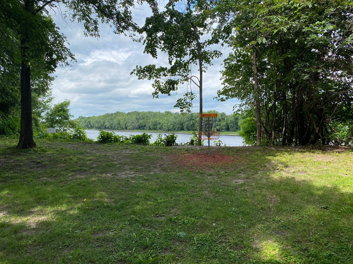 Beautiful pins alongside the Mississippi river