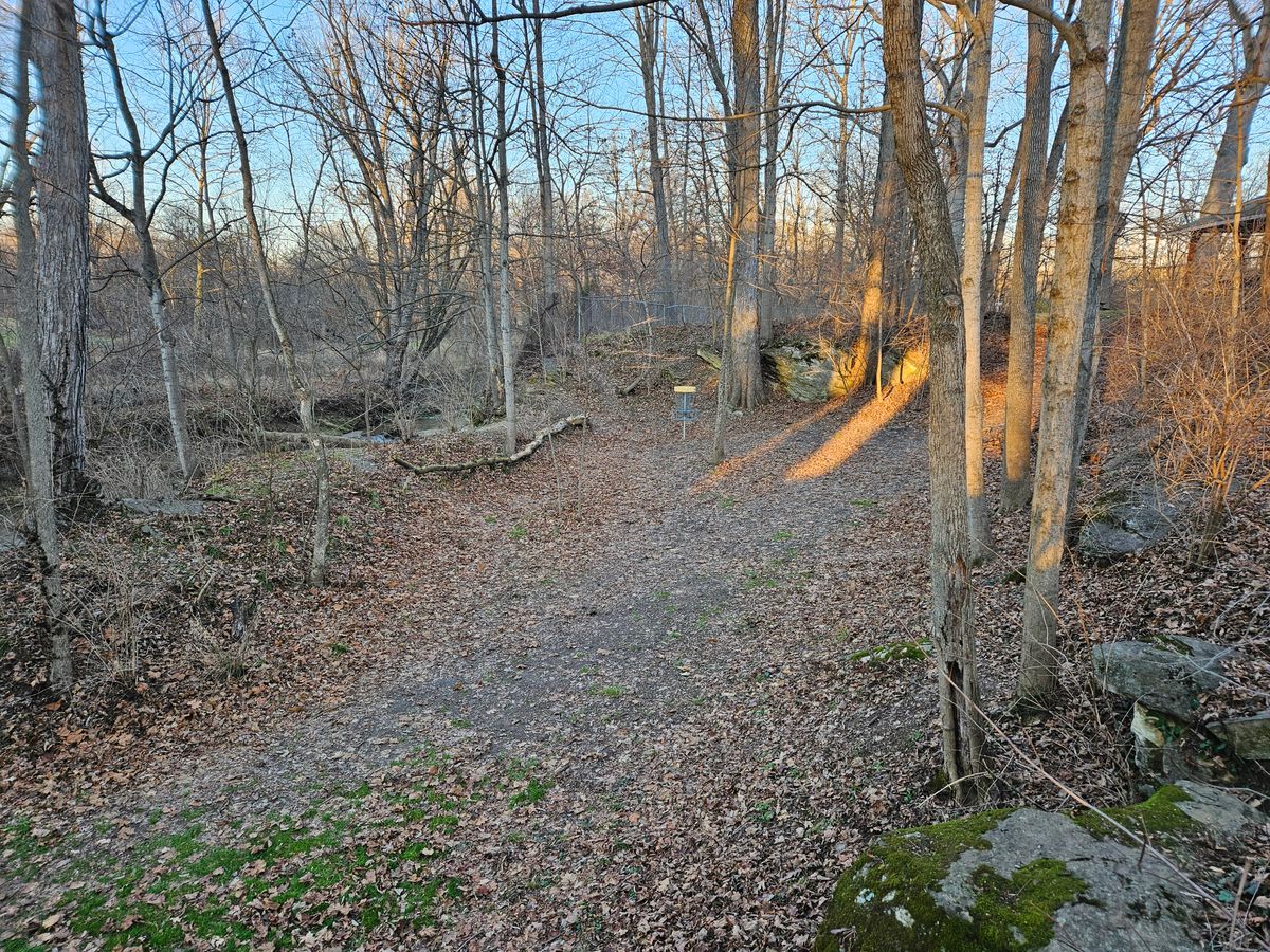Basket of hole as seen from rock ledge