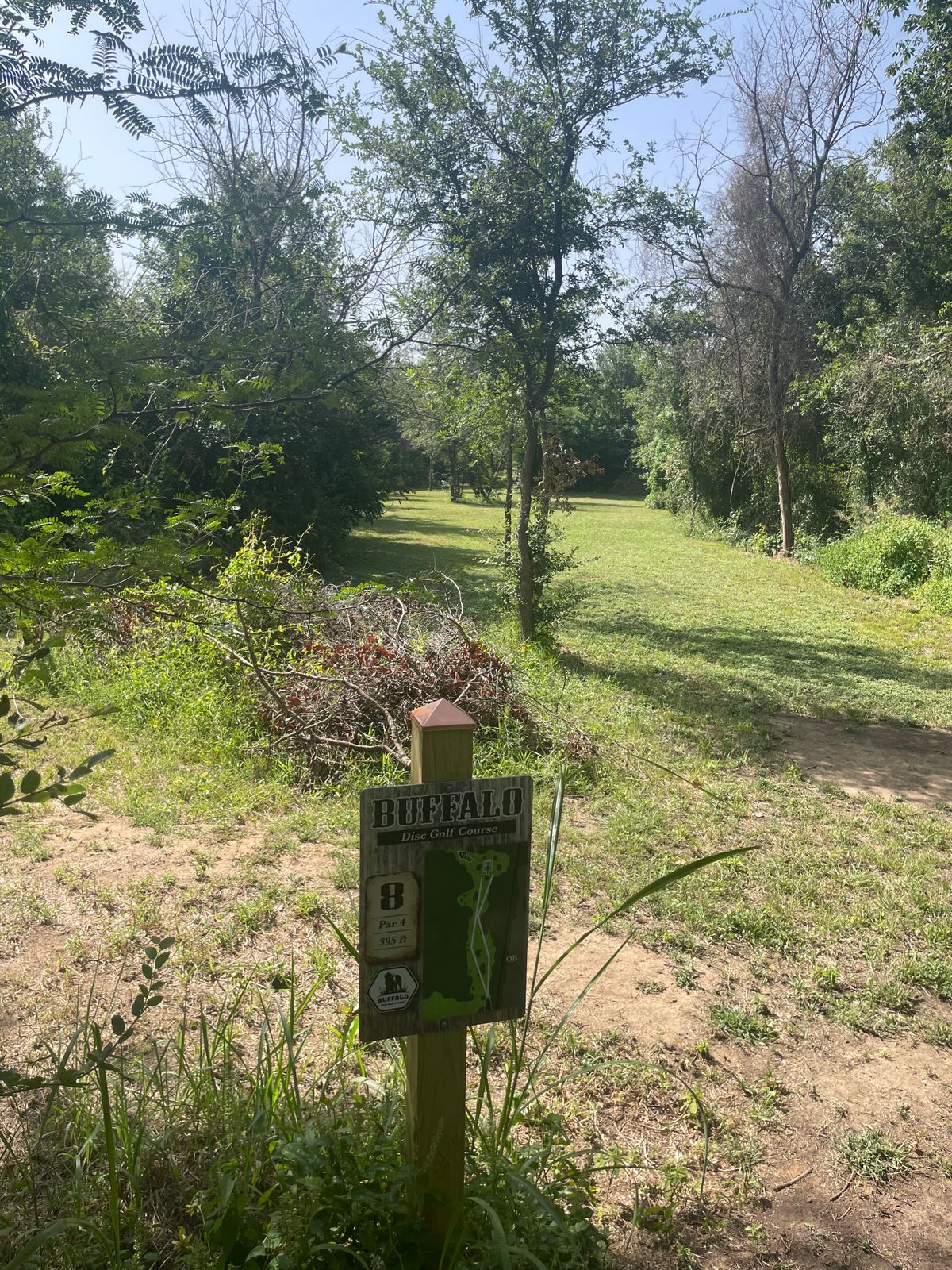 Hole 8