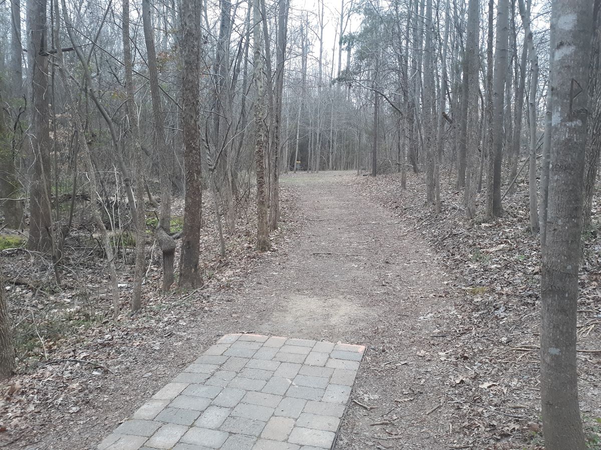 Alternate view Hole 3