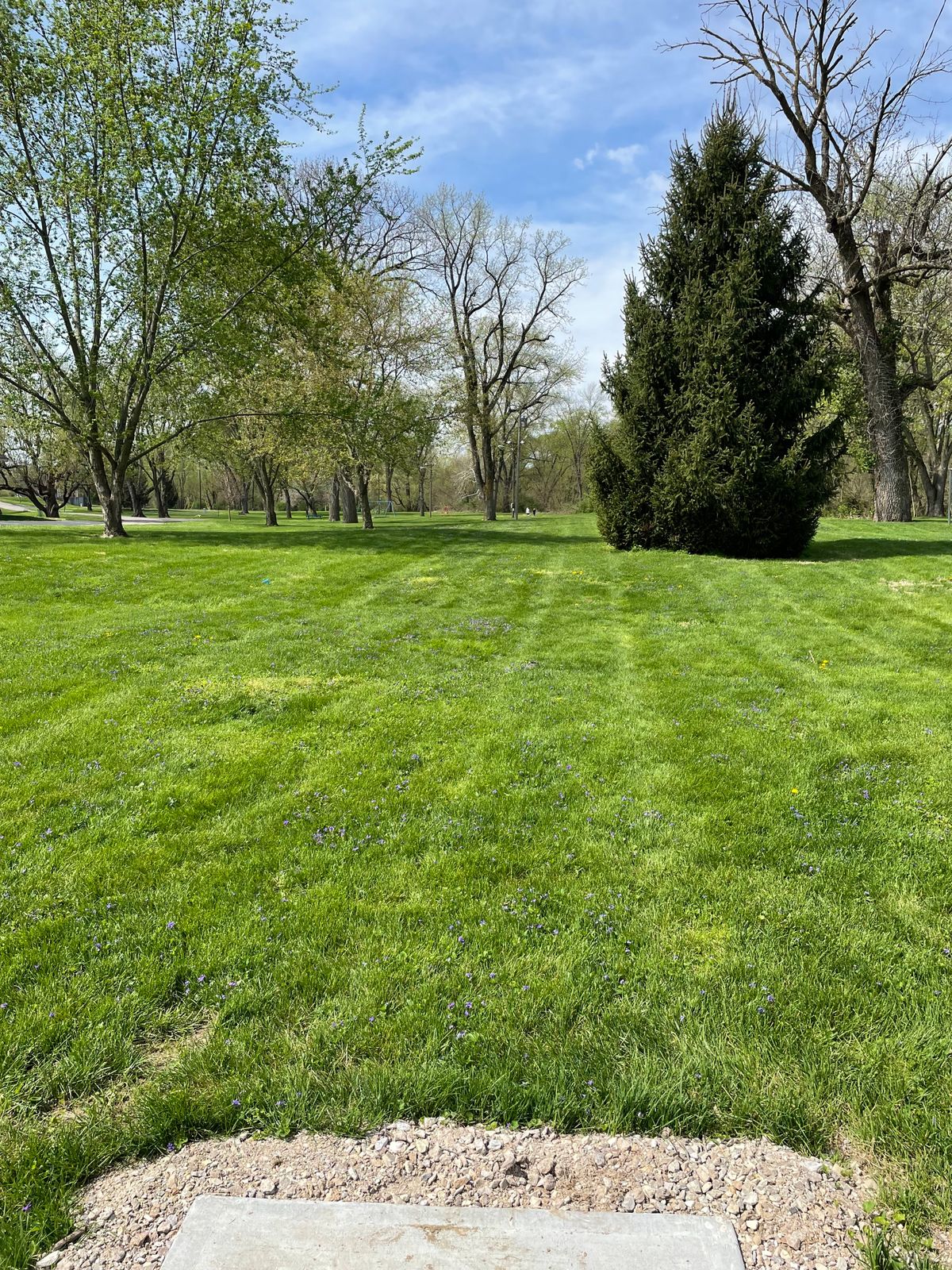 Hole 5 long tee