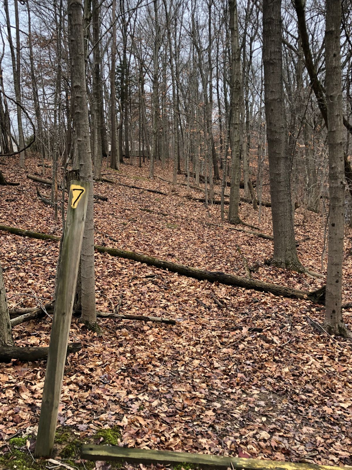 Hole 7