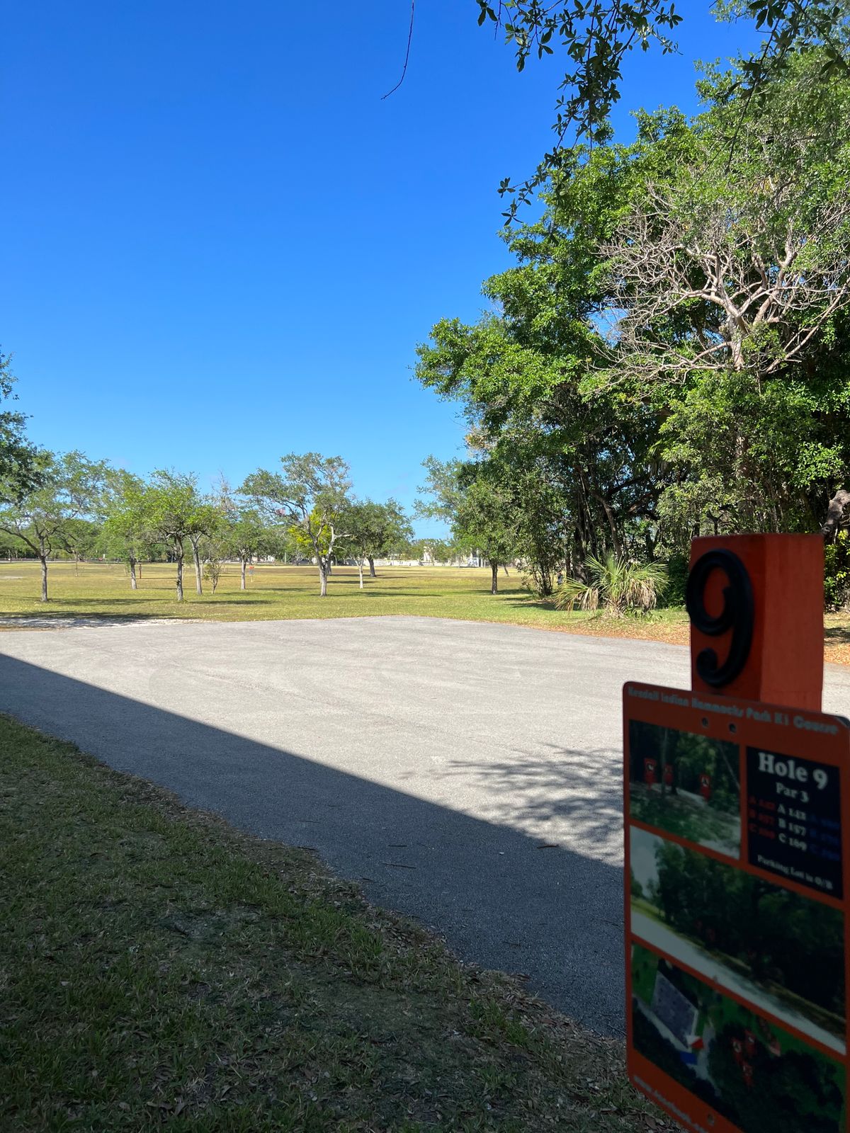 Hole 9 tee pad curves right towards trees where basket is tucked back in woods