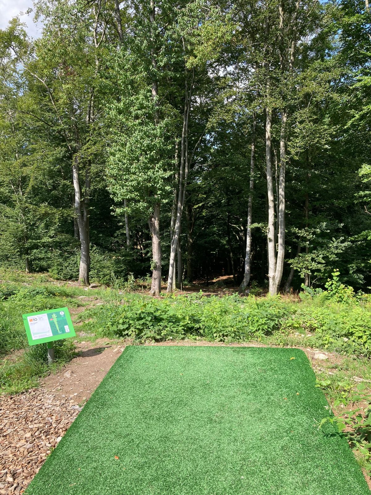 A steep descent on Skogsbanan, hole 12.