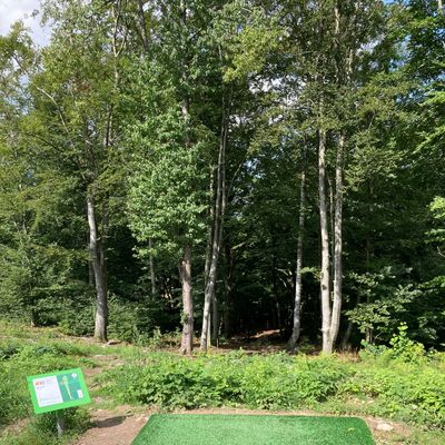 A steep descent on Skogsbanan, hole 12.