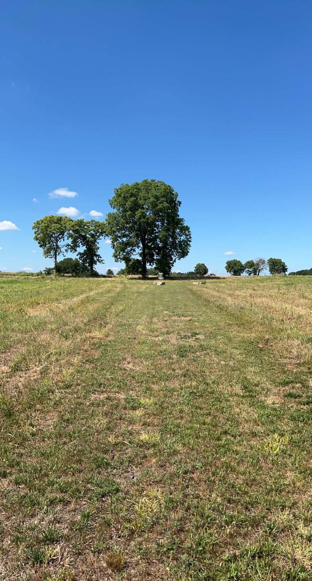 Hole 9
