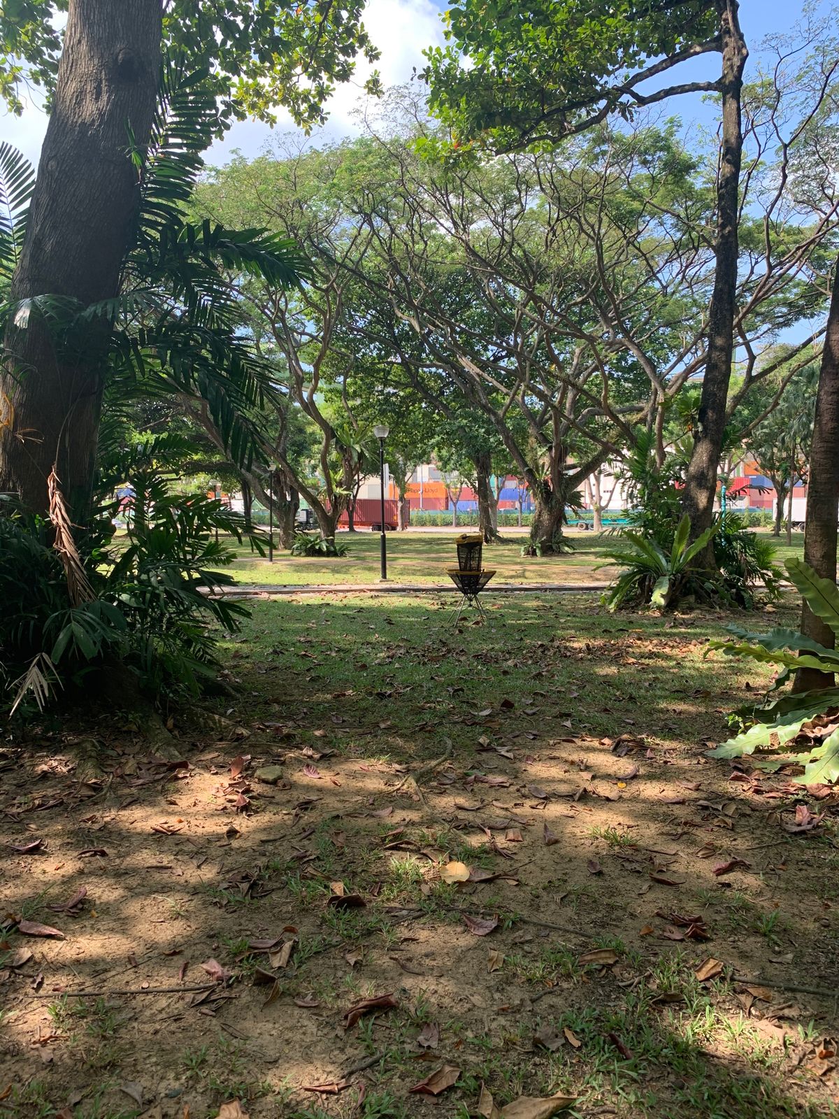 Hole 9 Basket