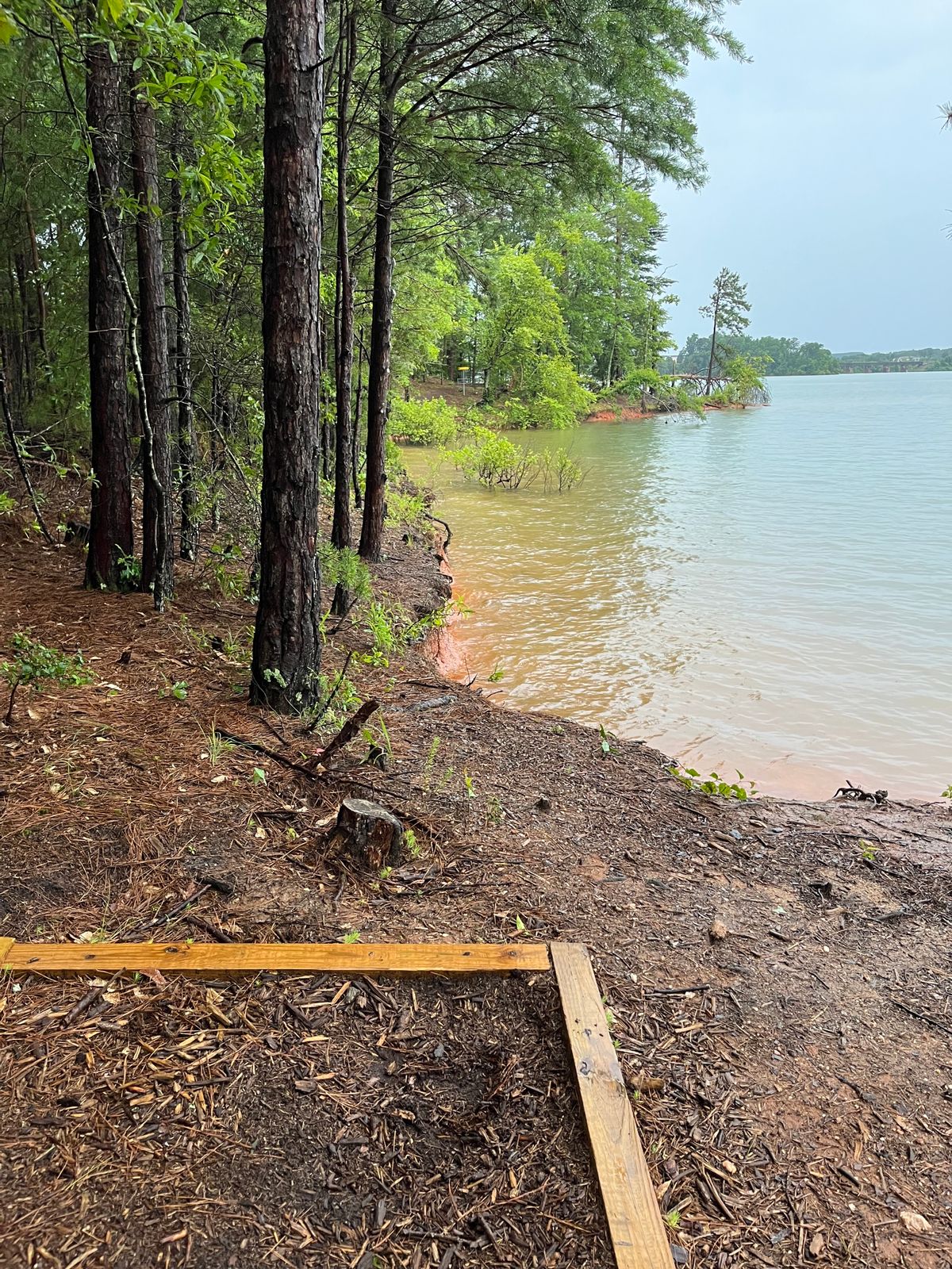 Hole 17 water carry