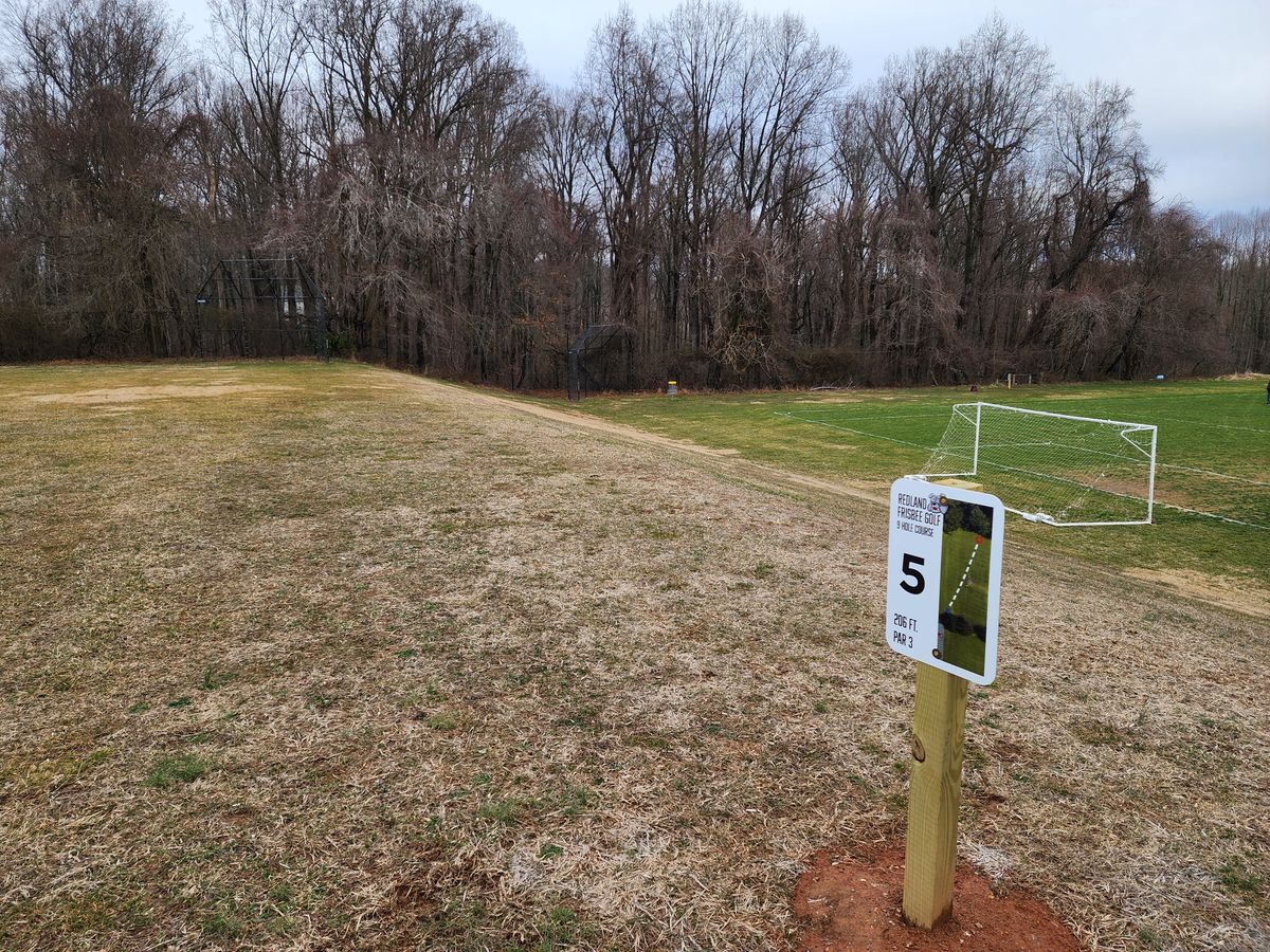 Hole 5