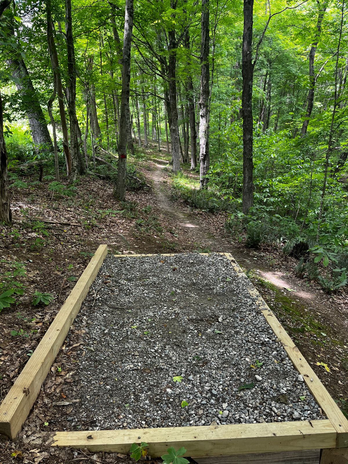 Hole 4 from tee pad