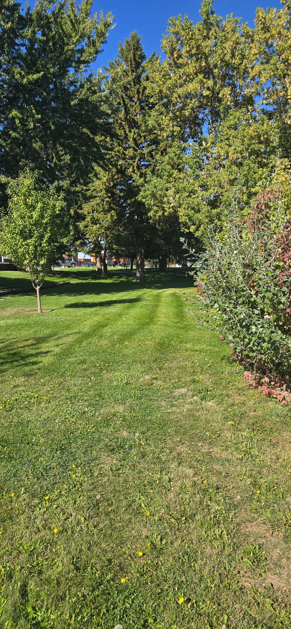 Hole 1