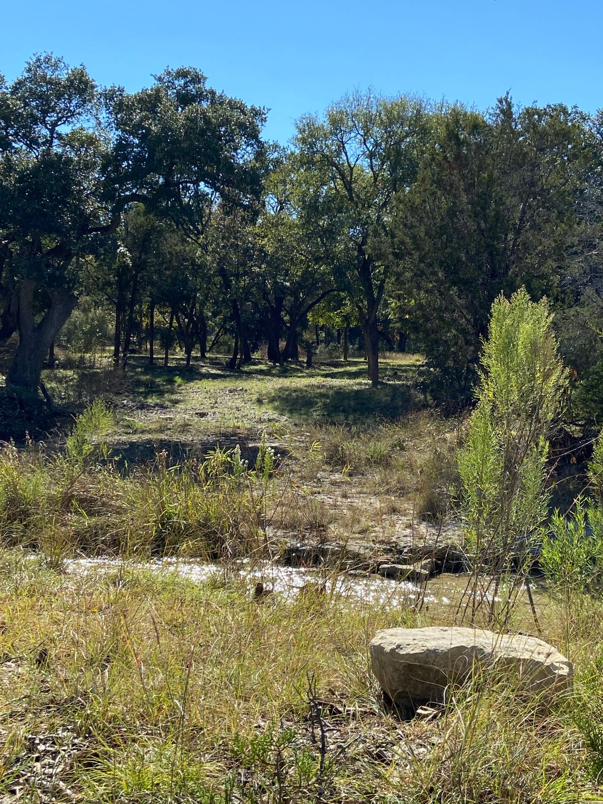 Looking off the tee at hole 4.