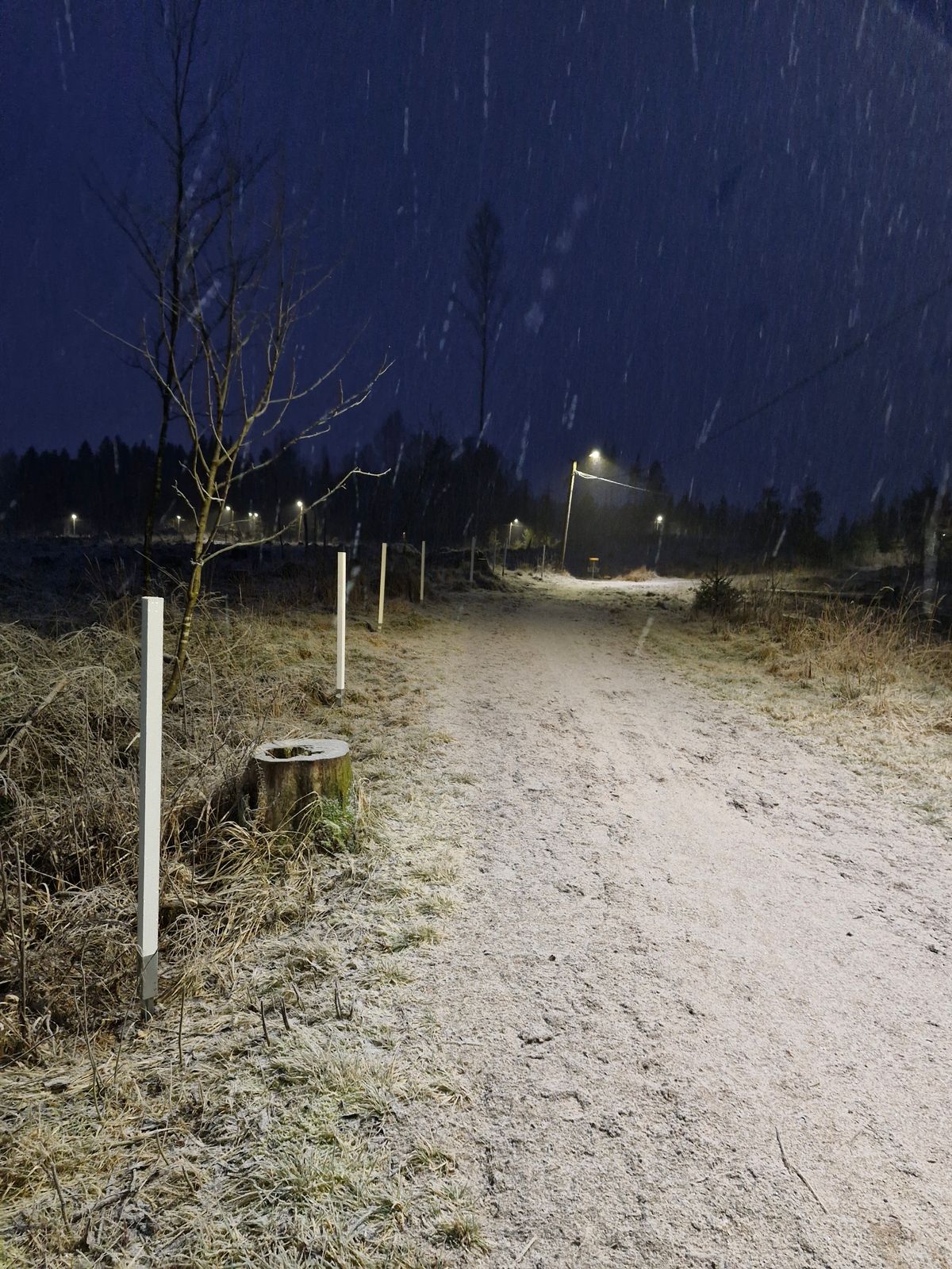 Väylä 6, ob? Märällä kelillä korin ympärillä todennäköisesti iso lammikko.