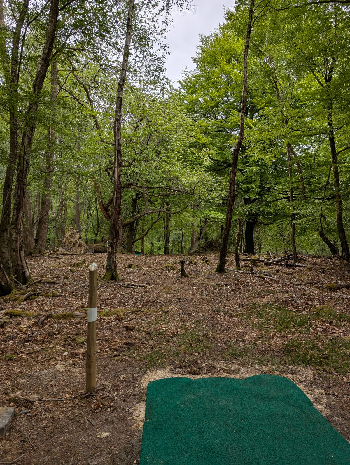 White hole 10