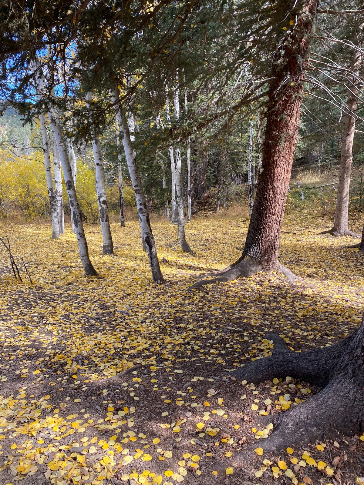 Hole 1 in October
