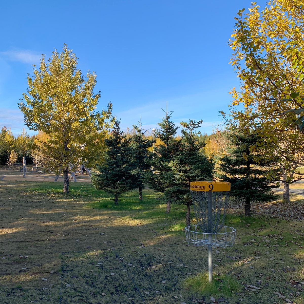 Hole 9