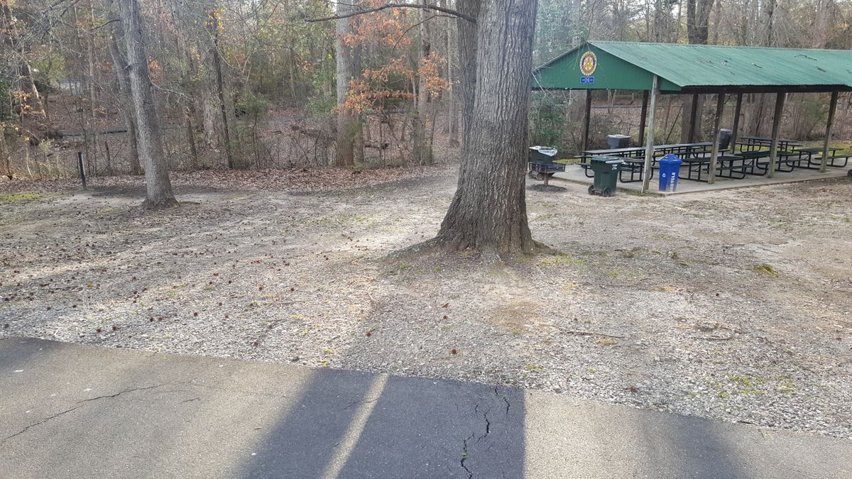 First tee is through the playground left of the covered picnic tables. Basket is towards the gender in horseshoe pit.