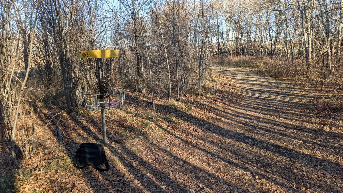 Basket on #4 has finally been replaced. 😎