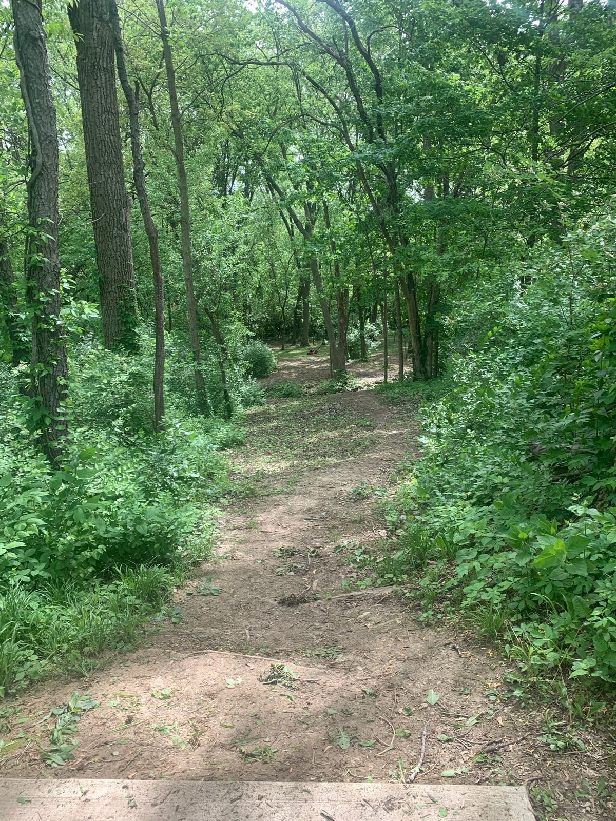 Hole 4 from pad