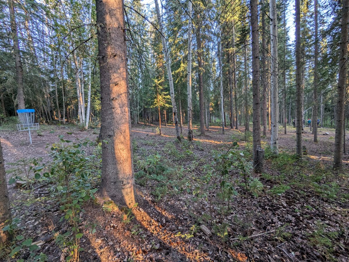 Late August Hole 18