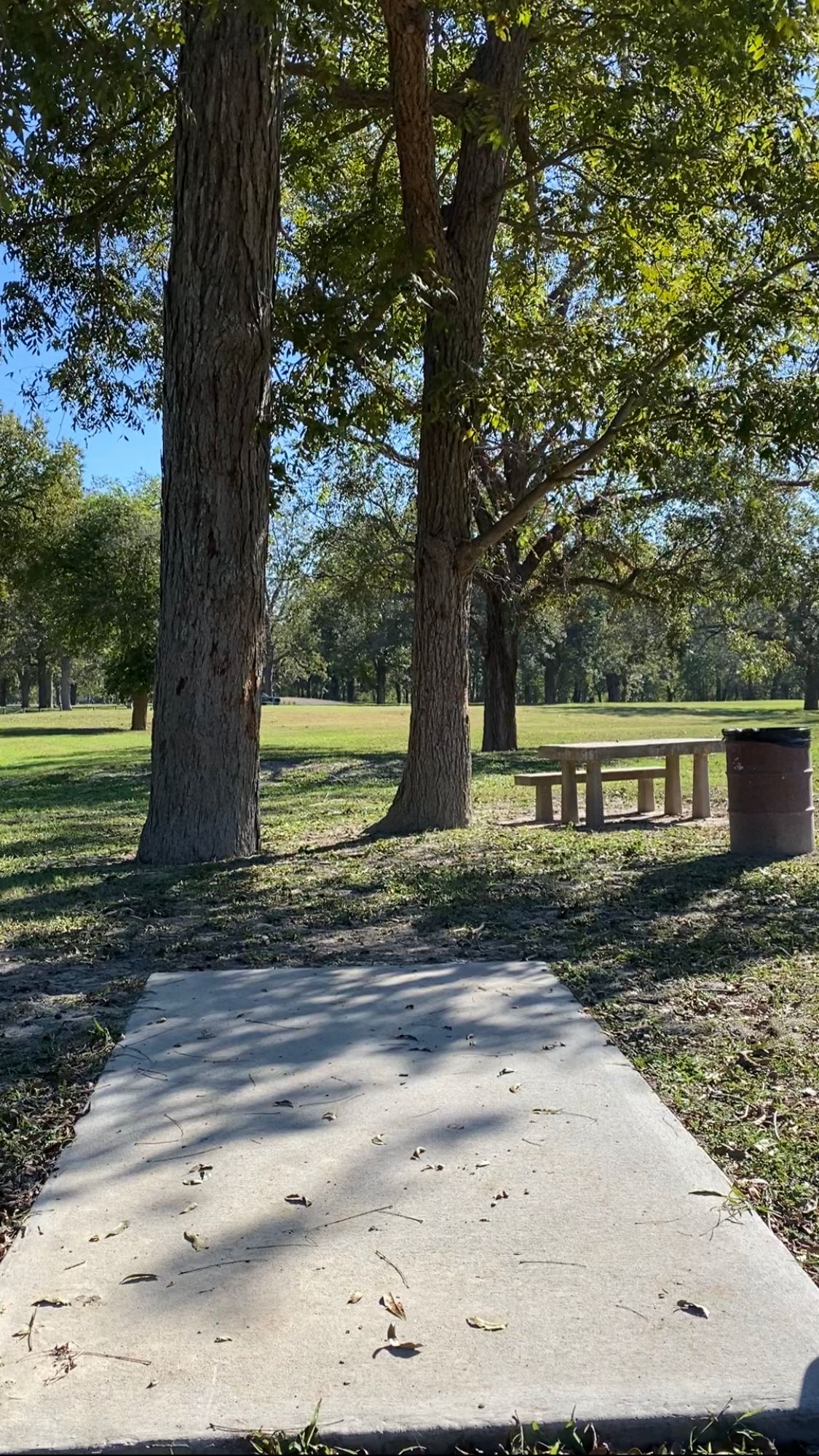 Tee pad of hole 18. The trees framing the gap are mandos, so you have to thread the needle.