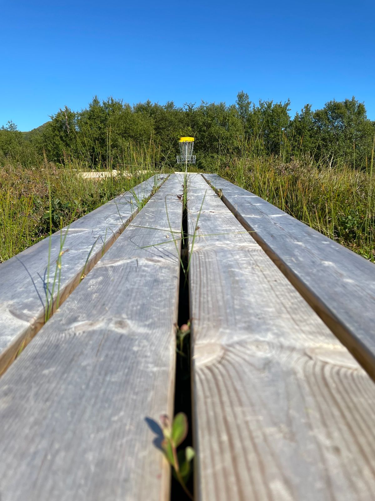 «Fair walkway» hull 14