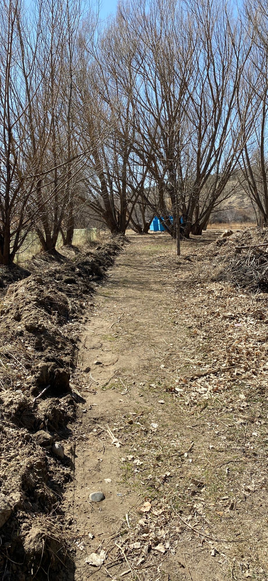 Hole 4 main 9/ Hole 7 winter 12