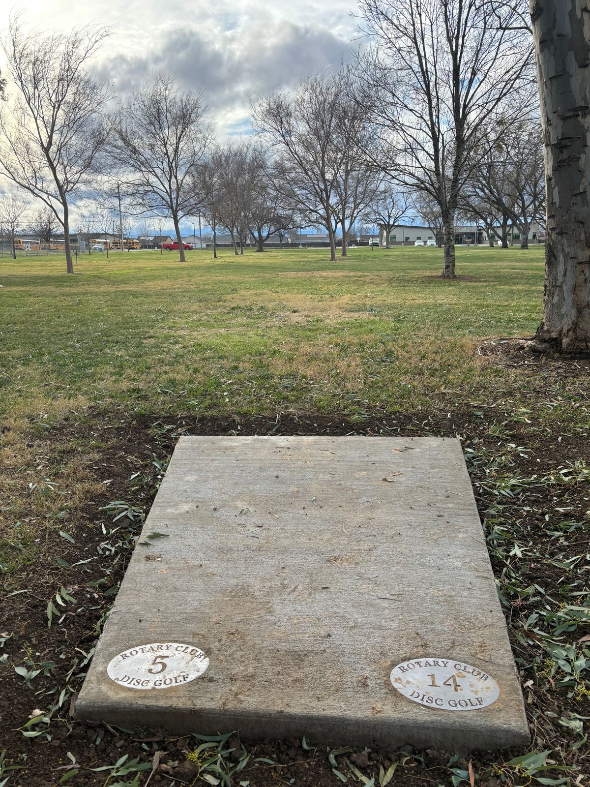 5 tee pad.