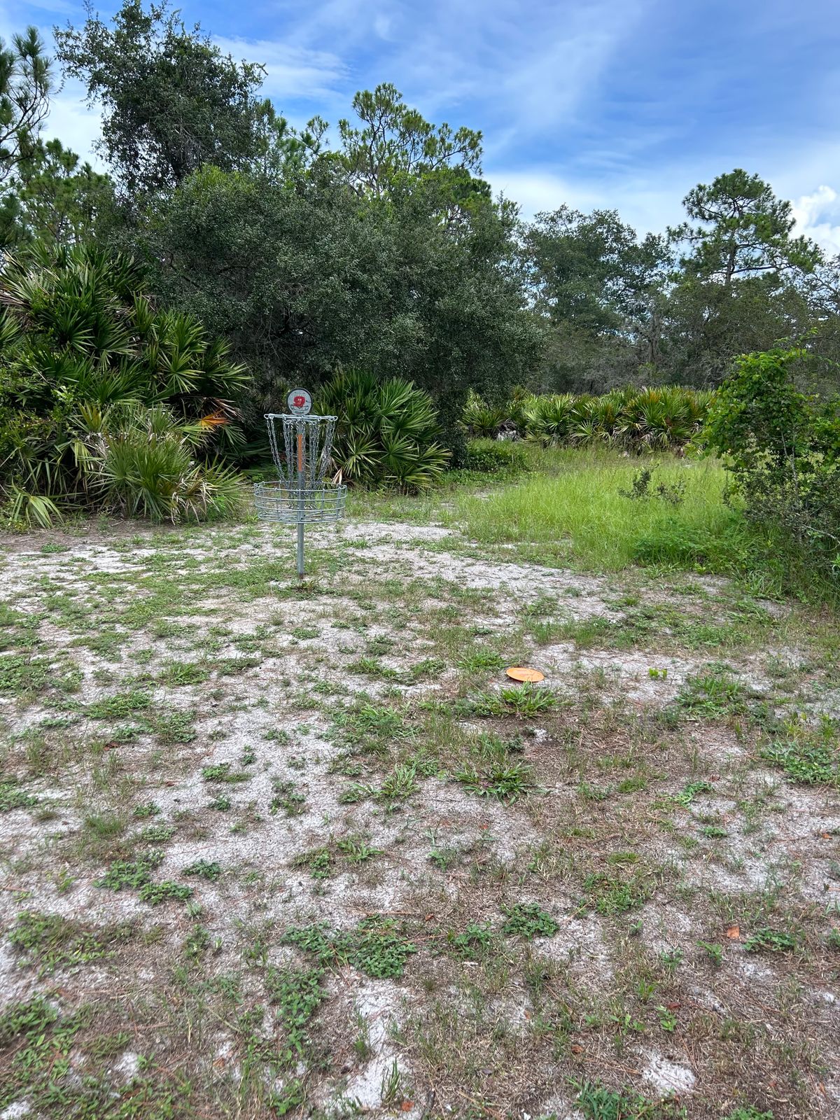 Hole 9/18 basket