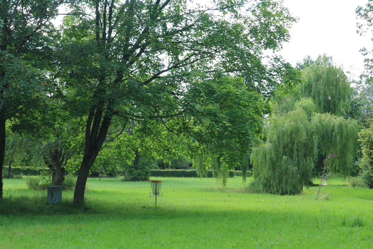 Basket from hole 11