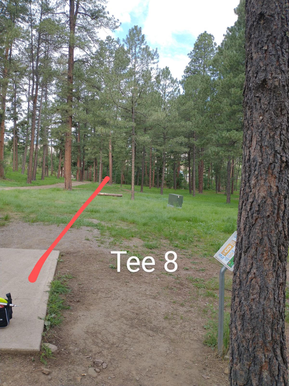 Tee 8