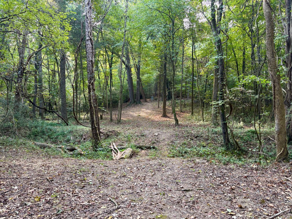 Hole 2 mid-fairway