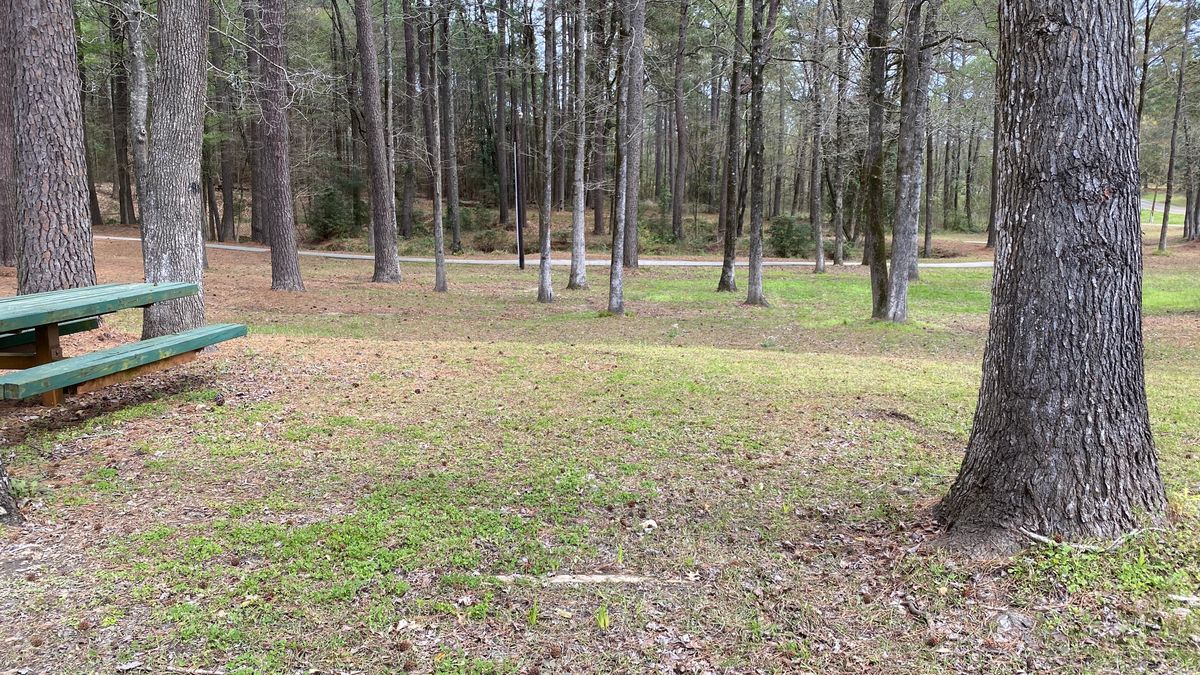 Hole 5