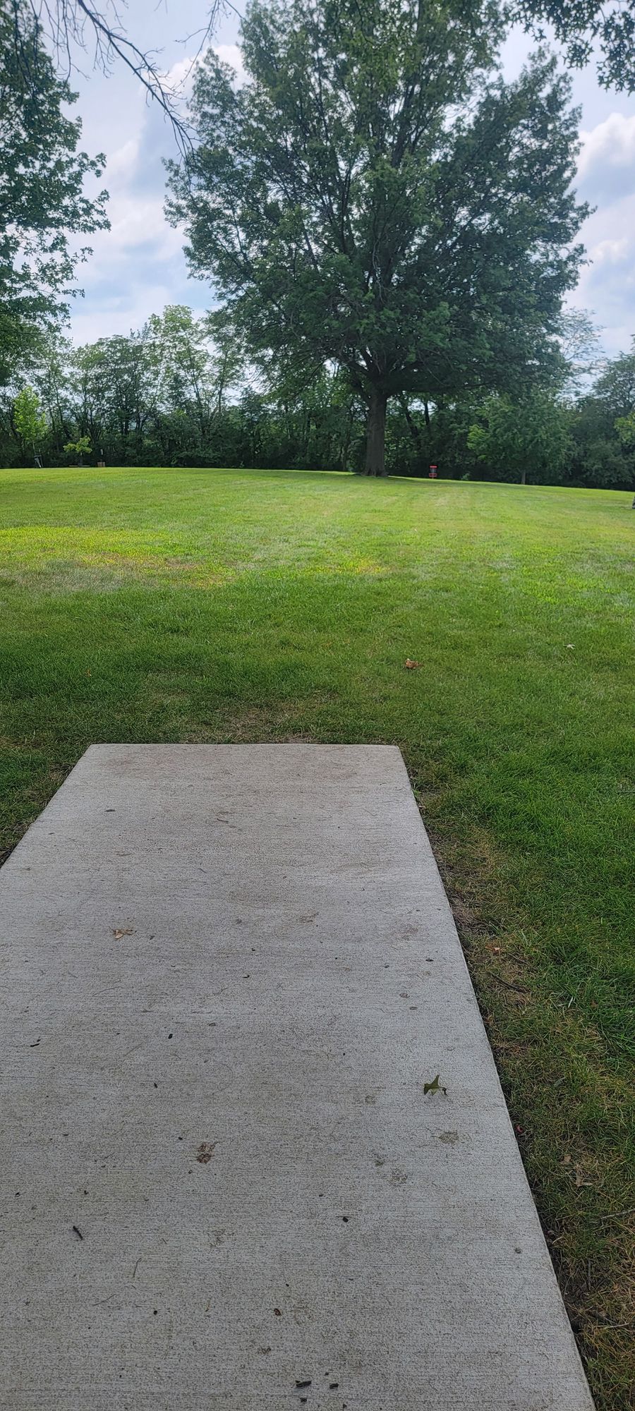 Hole 7's tee pad view. The large tree in the middle is a mandatory. Must throw left of the tree. If you miss the mando, add 1 penalty stroke and play from your current lie.