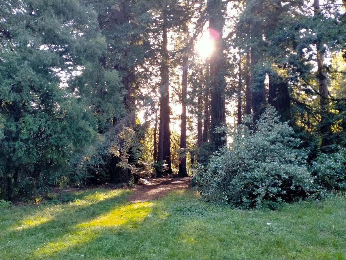 Hole #12