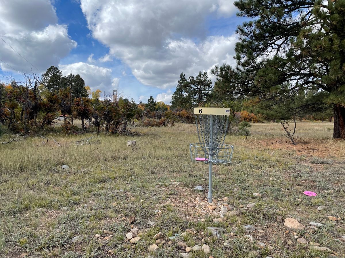 Hole 6 basket Silver Pick Disc Golf Course