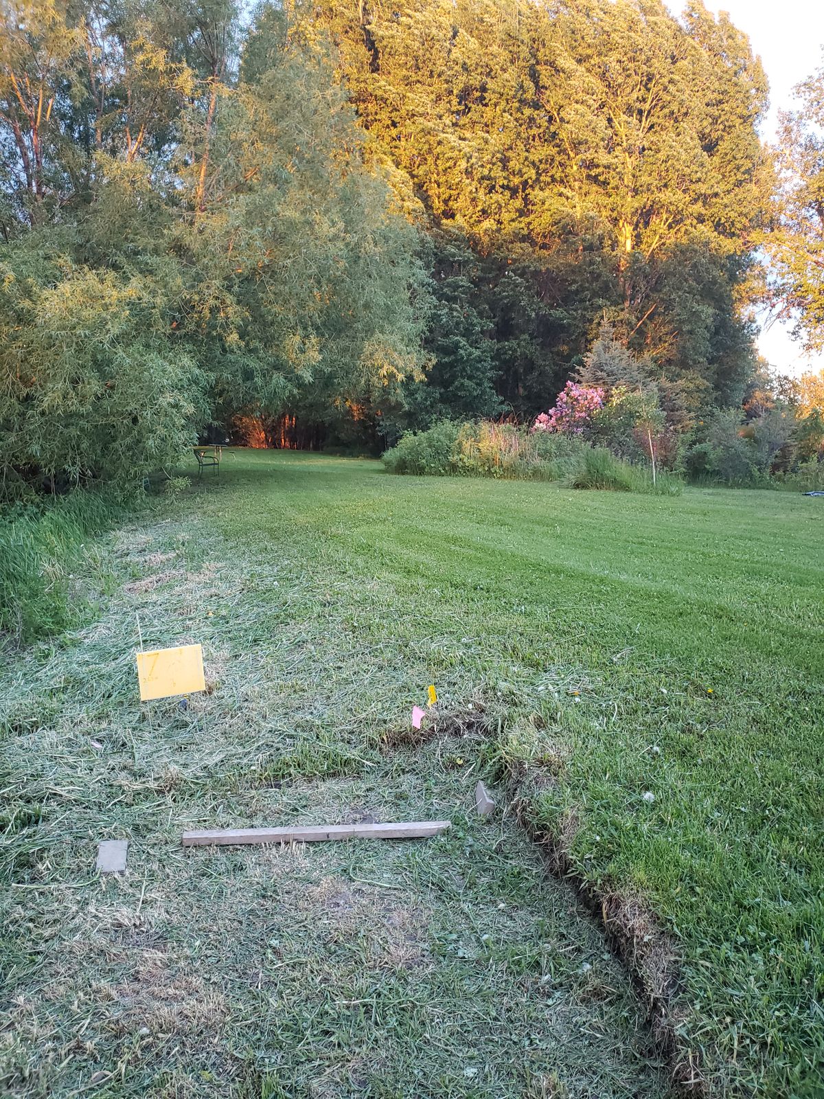 #7 forhand shot under willow and then right, unless you like the danger of the forest lines.