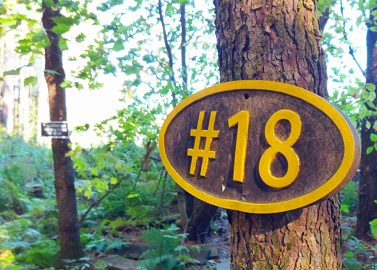 Hole sign 18