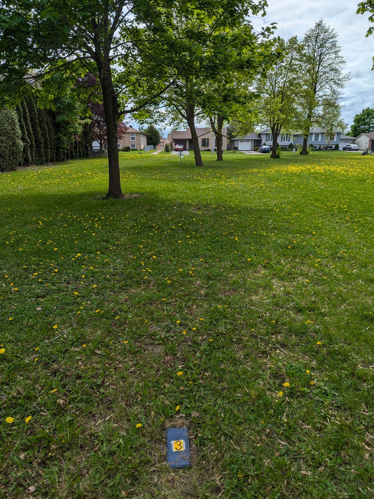 TEE 3.
*IMPORTANT: The Single Tee brick acts like a marker and you can only throw from behind the marker, not for either side or in fro