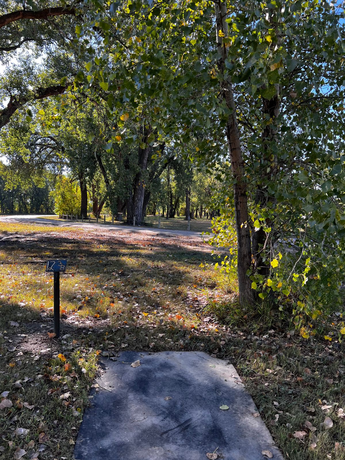 Tee 12