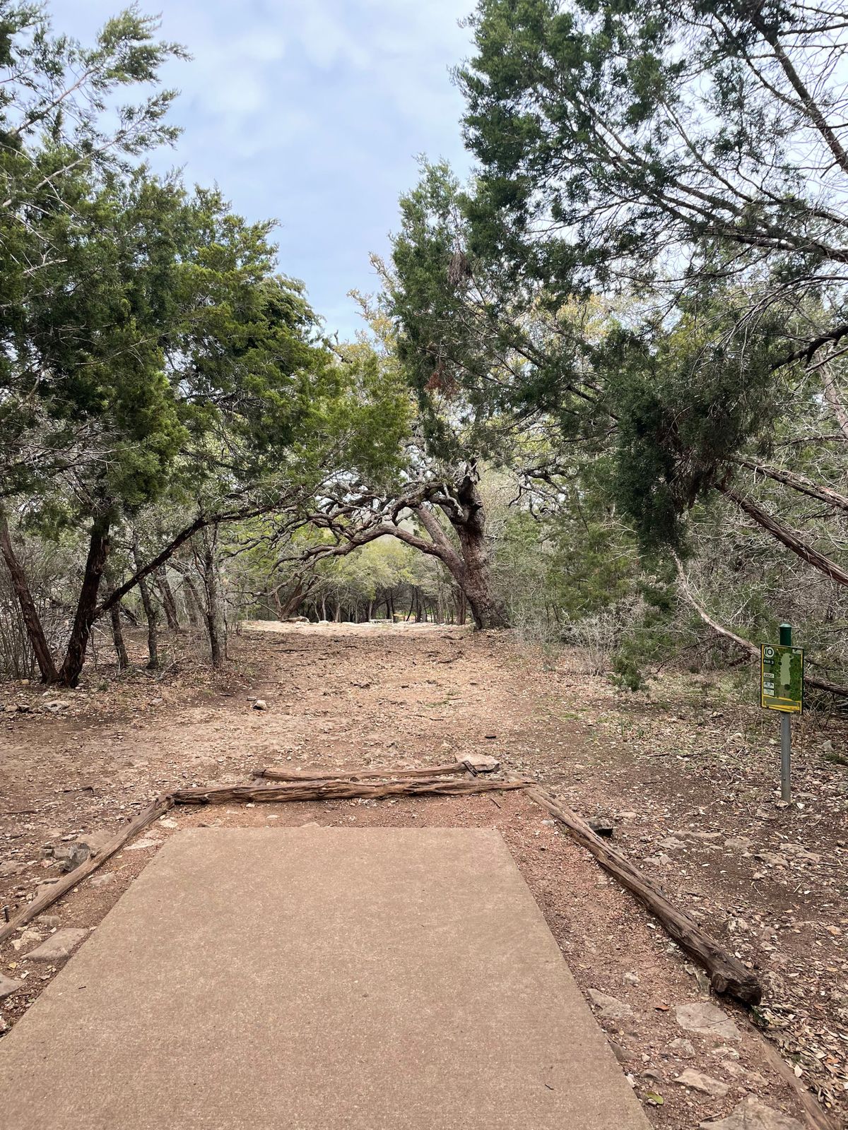 Hole 10 Tee box from the top