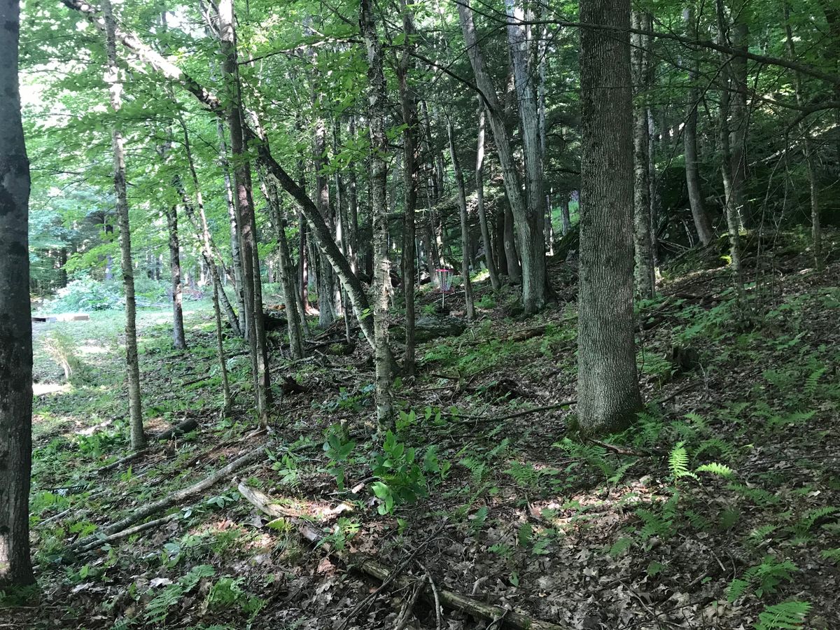 Hole 18’s approach
