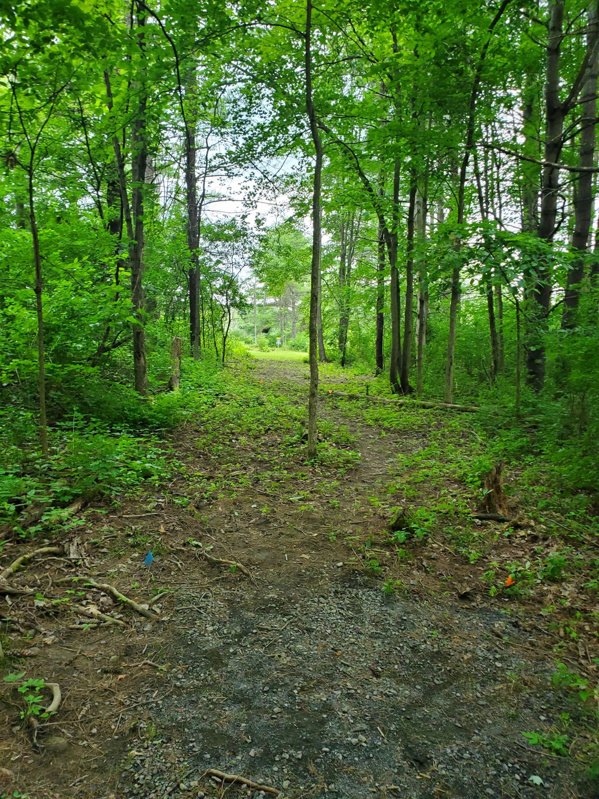 Hole 3 Blue tee.