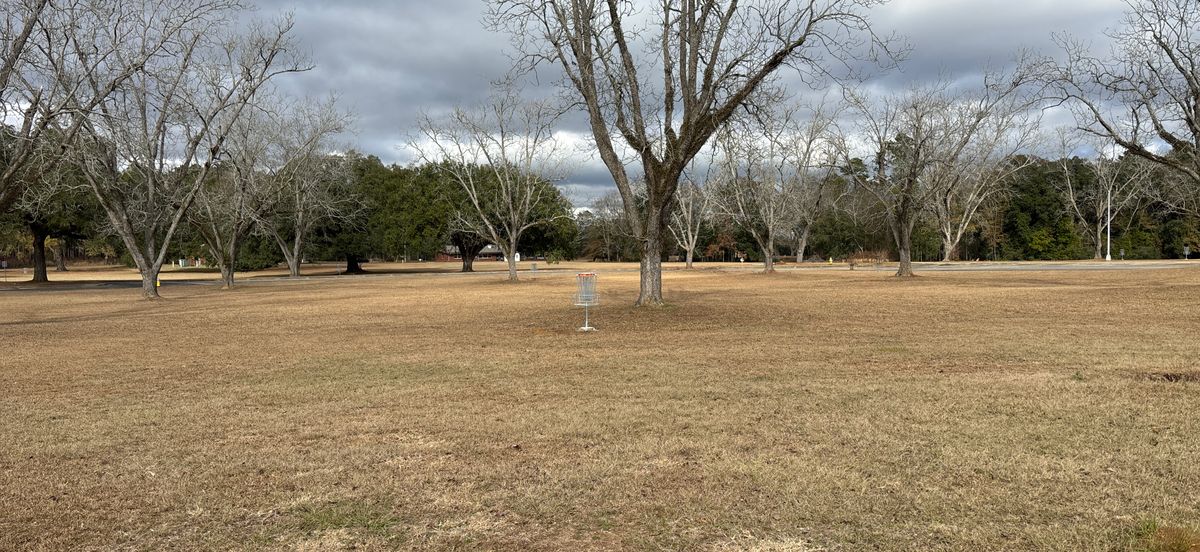 Practice area