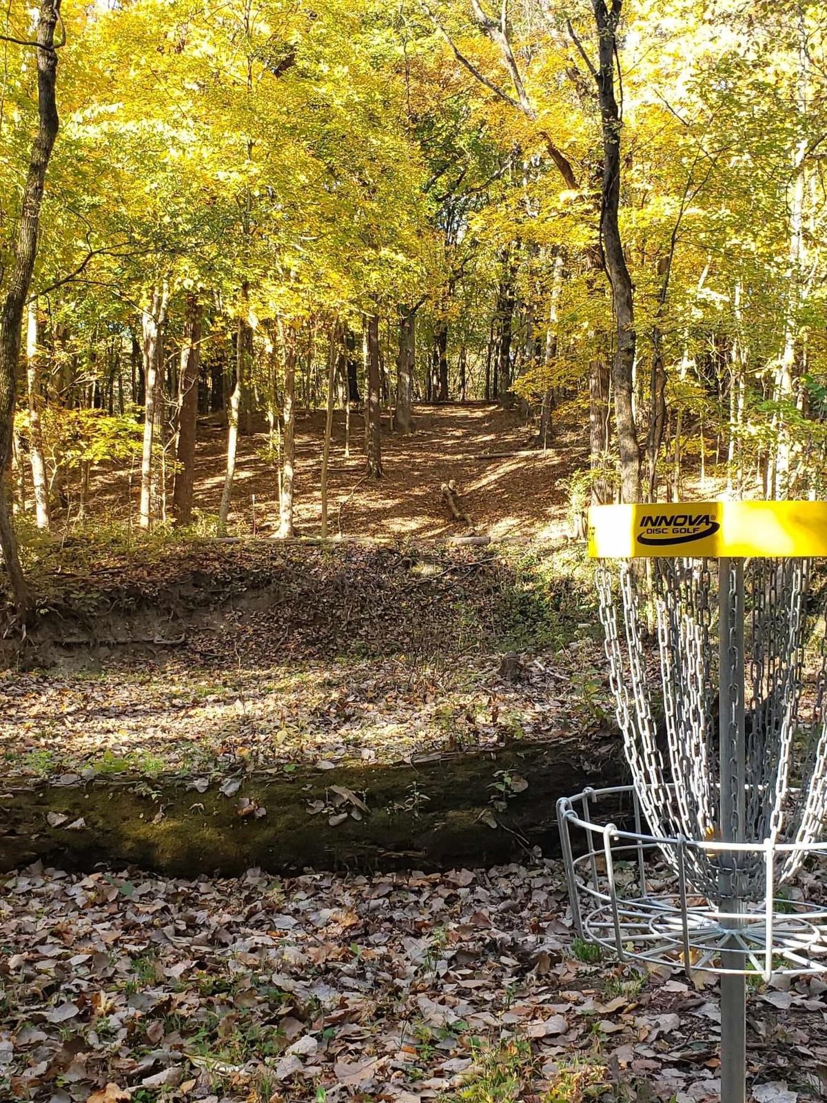 #2 Pro basket looking back at tee box