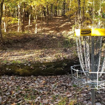#2 Pro basket looking back at tee box